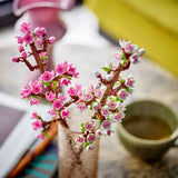 Lego - Cherry Blossoms