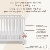 Little Seeds - Basinette convertible 4-en-1- Aster - Blanc