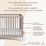 Little Seeds - Bassinette 4-in-1 Convertible Crib - Pala - Taupe