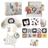 Taf Toys - 12 Piece Starter Set