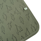 Perlimpinpin - Flannel pique - Dinos