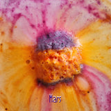 Loot - Bath bomb - Galaxy